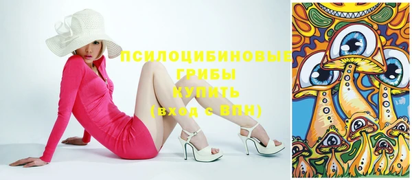 ПСИЛОЦИБИНОВЫЕ ГРИБЫ Лихославль