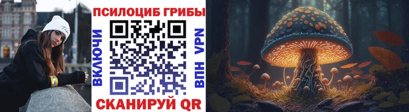 Псилоцибиновые грибы Magic Shrooms  магазин продажи наркотиков  darknet Telegram  Приволжский 